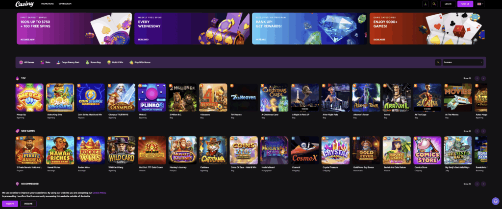 All You Need to Know About Casiny Login 2