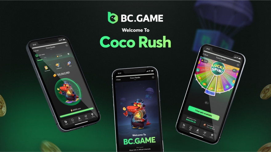 Exploring Betting BC Game Your Gateway to Online Gambling