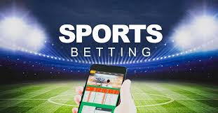 77bd Bet Your Ultimate Betting Destination -95672685