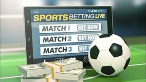 The Rise of Sports Gambling Websites Trends and Insights